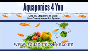 aquaponics for you